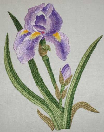 Needle painted iris designed by Tanja Berlin and stitched by me