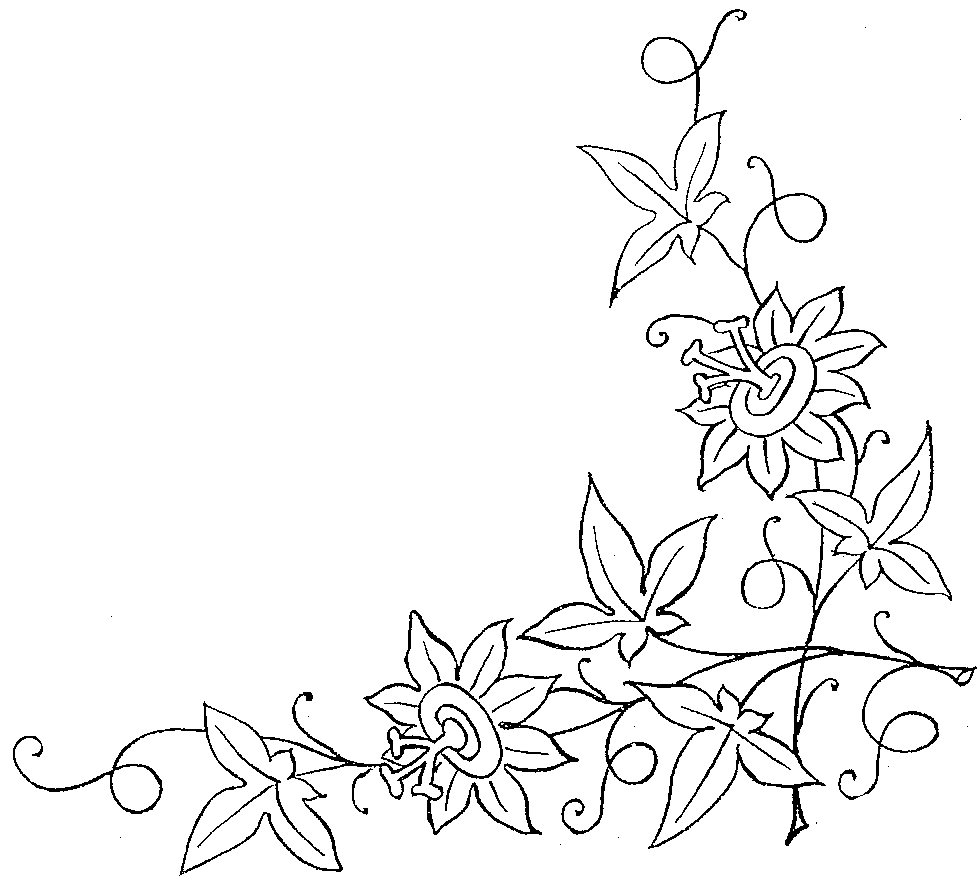 Flower Patterns and Designs to Draw