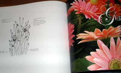 Floral Interpretations for Silk Ribbon by Helen Dafter