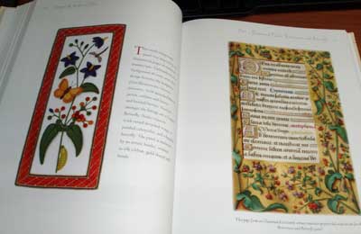 Stumpwork Medieval Flora by Jane Nicholas