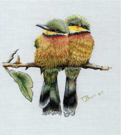 Birds, Thread Painted by Trish Burr, worked in one strand of DMC / Anchor