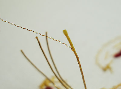 Goldwork Embroidery Project: Smooth Passing Thread