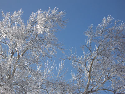 Central Plains Ice Storm, December, 2007