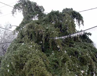 Central Plains Ice Storm, December, 2007