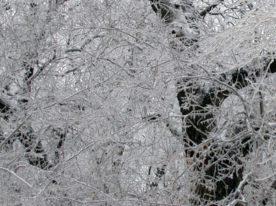 Central Plains Ice Storm, December, 2007