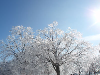 Central Plains Ice Storm, December, 2007