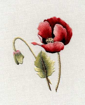 Poppy by Trish Burr