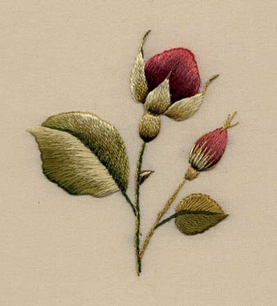 Rosebuds by Trish Burr