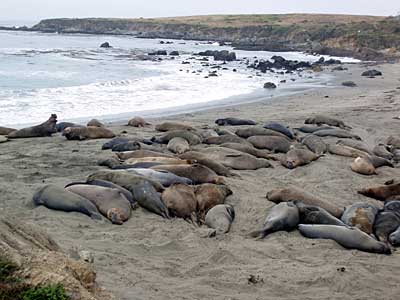 Scenery in California