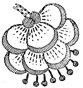 Jacobean Embroidery Pattern