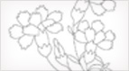 Free Hand Embroidery Pattern: Carnations