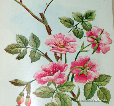 Society Silk Embroidery Catalog and Instructions