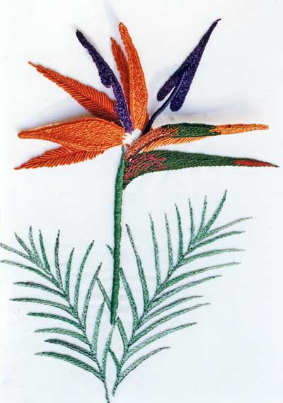 Brazilian Embroidery