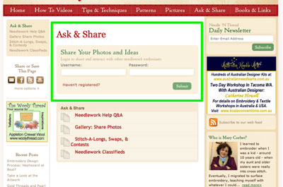 Needle 'n Thread Ask & Share Launch