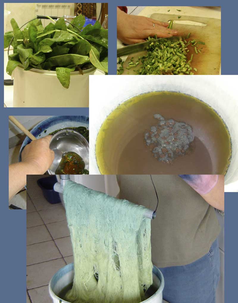 Dyeing with Woad in the South of France – NeedlenThread.com