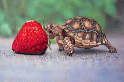 Needle Painting: Tortoise and Strawberry