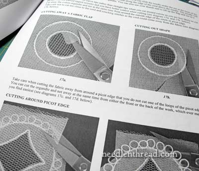 Carrickmacross Lace Kit & Instructions