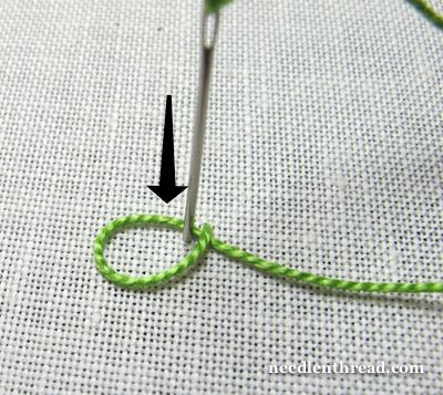 Knotted Chain Stitch or Braid Stitch Variation