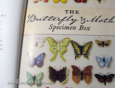 Stumpwork Butterflies & Moths by Jane Nicholas