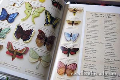 Stumpwork Butterflies & Moths by Jane Nicholas