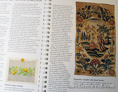 RSN Stitch Guide: Canvas Work