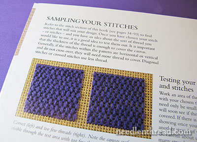 RSN Stitch Guide: Canvas Work