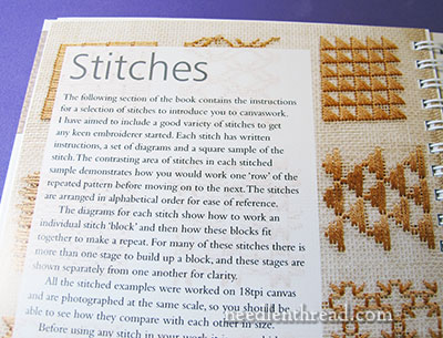 RSN Stitch Guide: Canvas Work