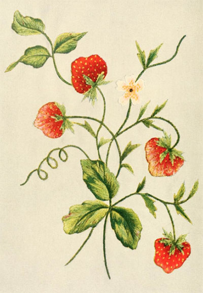 Embroidered Strawberries from Singer Instructions for Art Embroidery