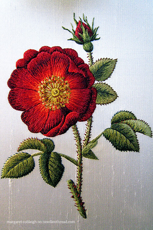 https://www.needlenthread.com/wp-content/uploads/2017/11/silk-shading-rose-margaret-cobleigh.jpg