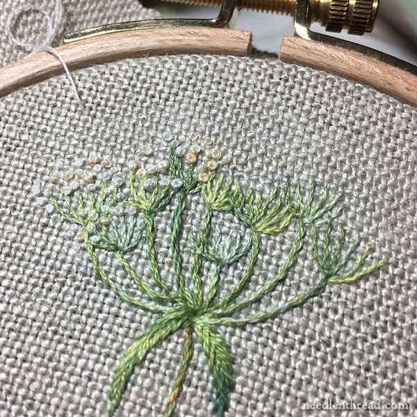 A little sprig in embroidery - poison hemlock