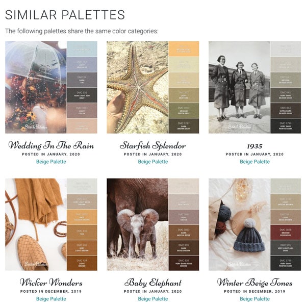 Stitch Palettes website for color and embroidery
