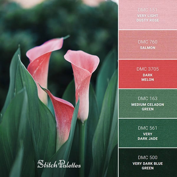 Stitch Palettes website for color and embroidery