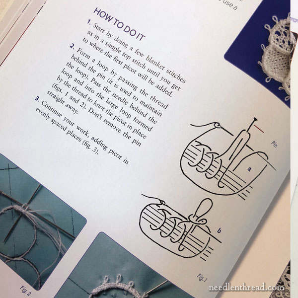 A Practical Guide to Needle Lace by Jacqueline Peter