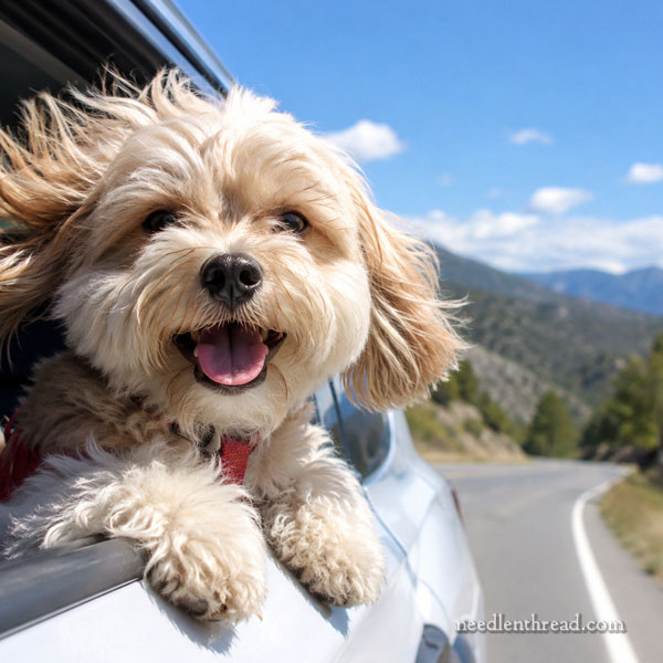 Road Trip!