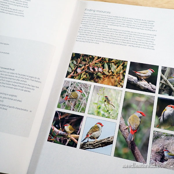 Embroidered Birds and Their Habitats