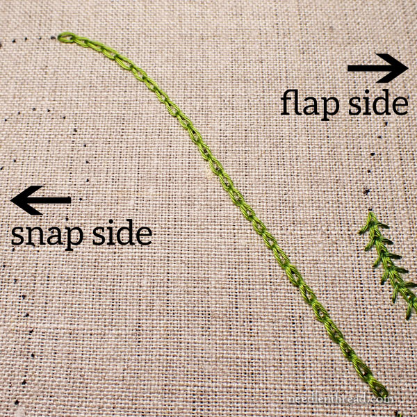 Little Blooms Part 3: Snap & Scrolls