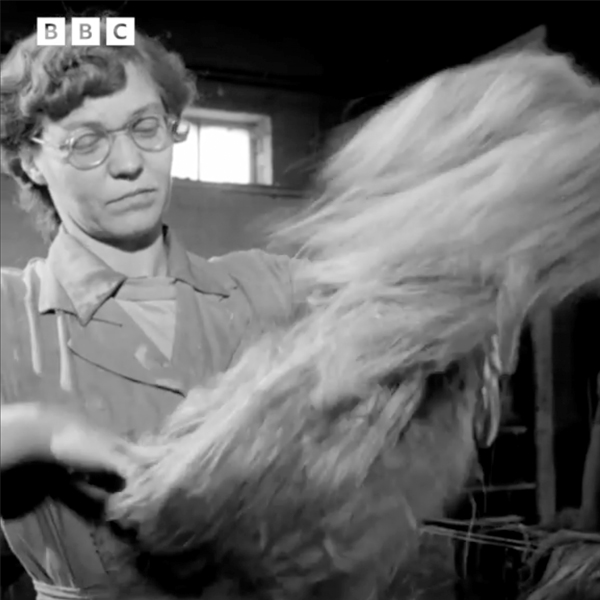 The Linen Harvest from BBC Archive