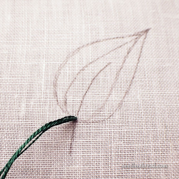 Spanish Knotted Feather Stitch Leaf Filling - Tutorial