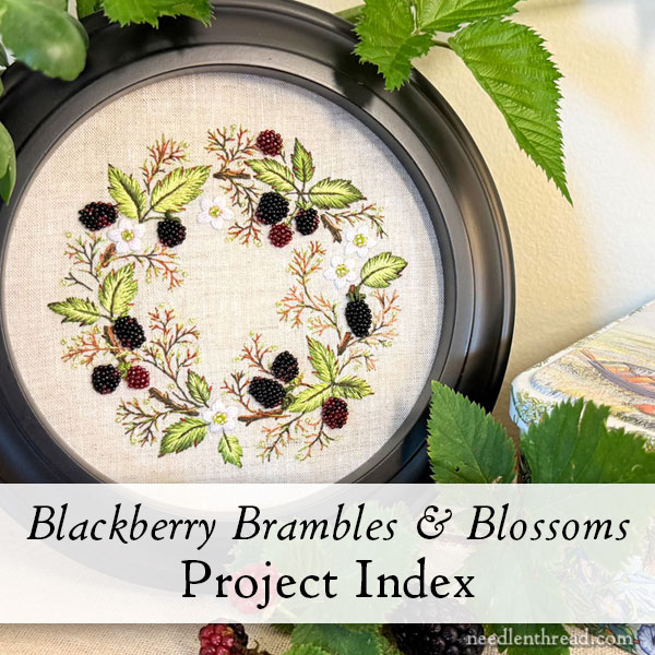 Blackberry Brambles & Blossoms