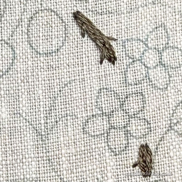 Blackberry Brambles Blossoms stitch-along lesson 1