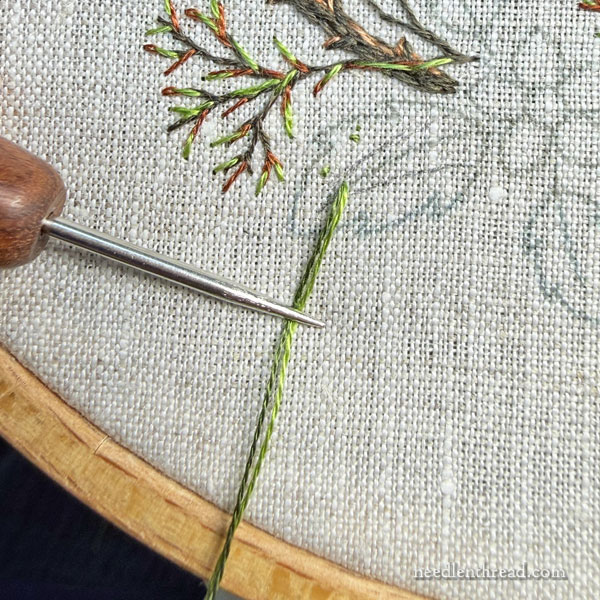 Blackberry Brambles & Blossoms: The Leaves