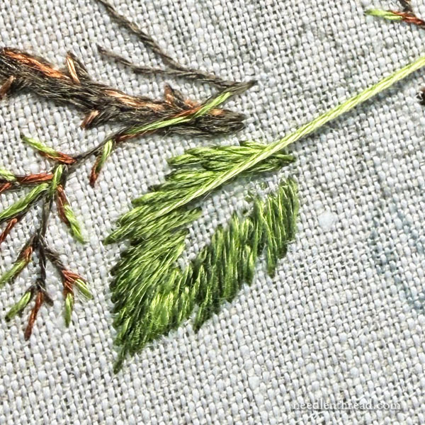 Blackberry Brambles & Blossoms: The Leaves