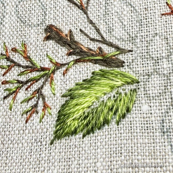 Blackberry Brambles & Blossoms: The Leaves