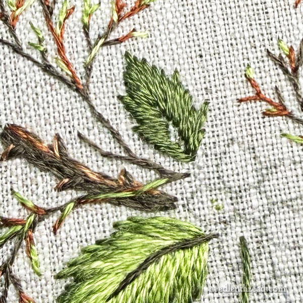 Blackberry Brambles & Blossoms: The Leaves