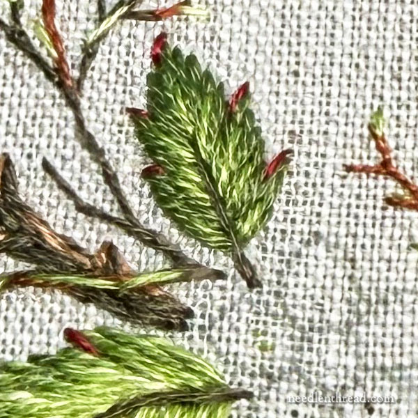 Blackberry Brambles & Blossoms: The Leaves