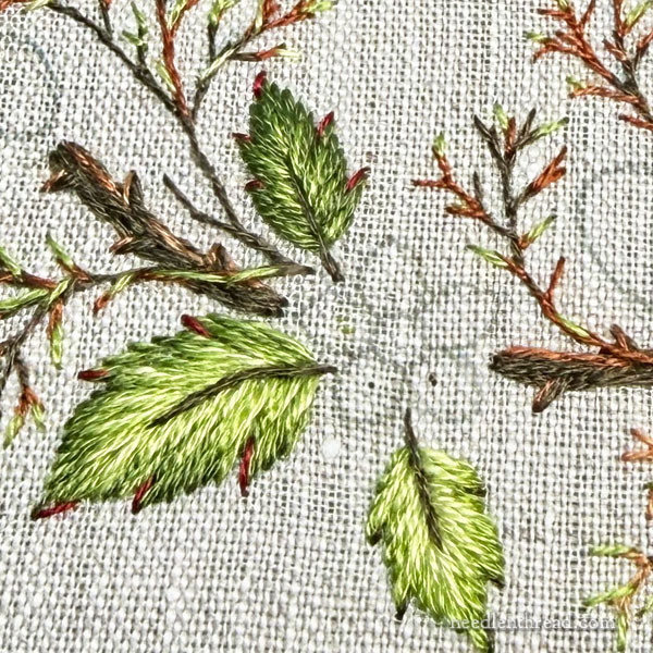 Blackberry Brambles & Blossoms: The Leaves