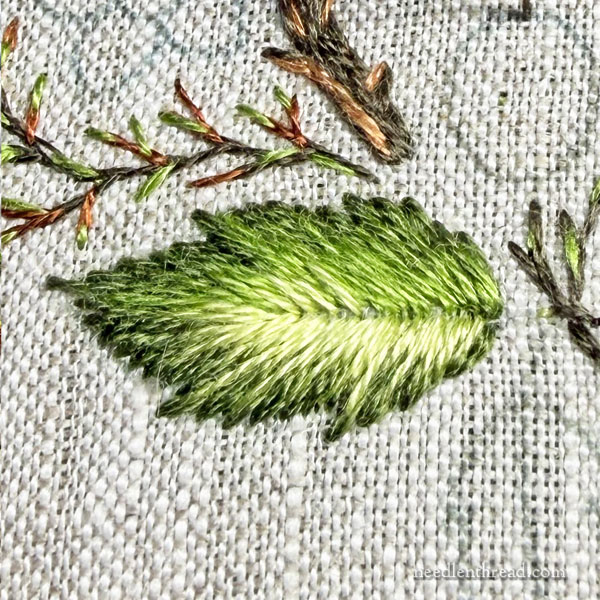 Blackberry Brambles & Blossoms: The Leaves