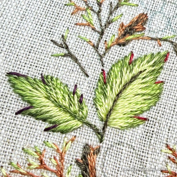 Blackberry Brambles & Blossoms: The Leaves